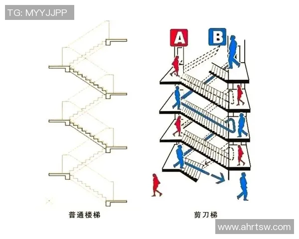 体育竞技俱乐部的定义与功能探讨及其在现代社会中的重要性分析